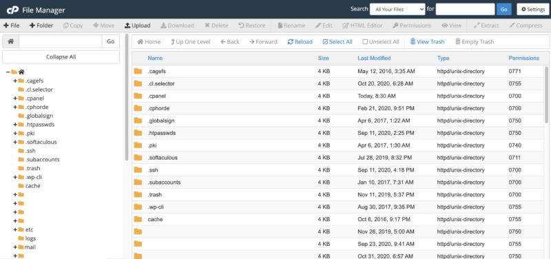 The WordPress file system.