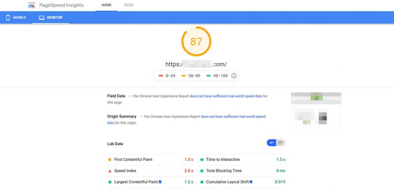 Assessing loading times with PageSpeed Insights.