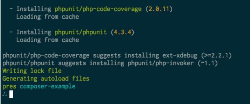 The script showing some packages being installed on Composer.