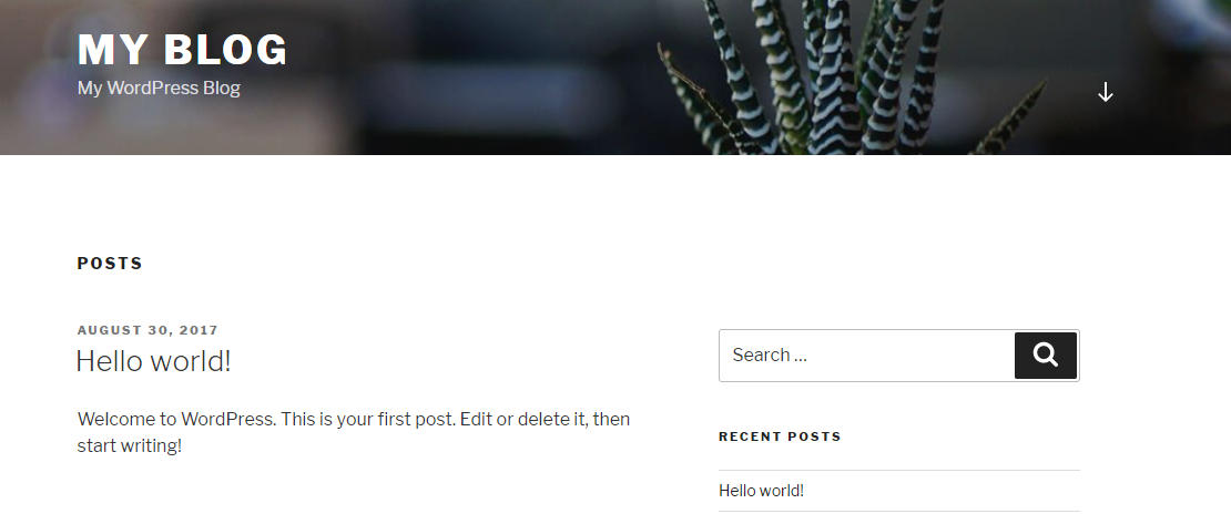 A new WordPress setup.